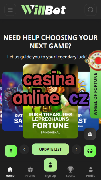 Casina Online CZ - Czech Online Casinos-casinoorder.vip