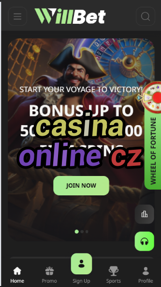 Casina Online CZ - Czech Online Casinos-casinoorder.vip